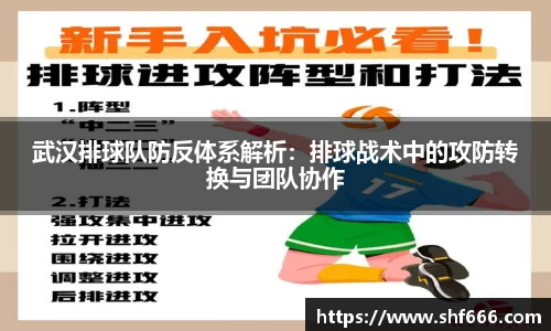 武汉排球队防反体系解析：排球战术中的攻防转换与团队协作
